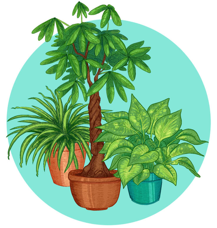 &quot;Various Friends&quot; digital, 2017